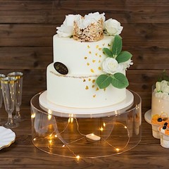 14 in Clear Round Acrylic CAKE STAND Display Box Pedestal Riser Party Events