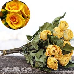 Toot Natural Dried Flowers Bouquet, 10 Pcs Red Dried Roses Bouquet for