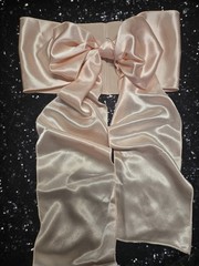 12 pcs Satin Chair Cover Bow Sash 104″x 6″ Light Peach Wedding Party Banquet