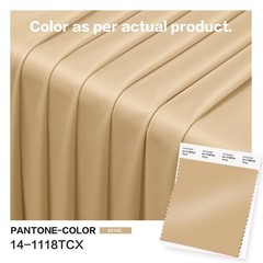 Party Village 20ftx40ft Champagne Khaki 60″W x 480″L (Pack of 4),