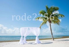 Voile fabric Fire Retardant Whole Roll 3 Colour super quality wedding drapes£1.9