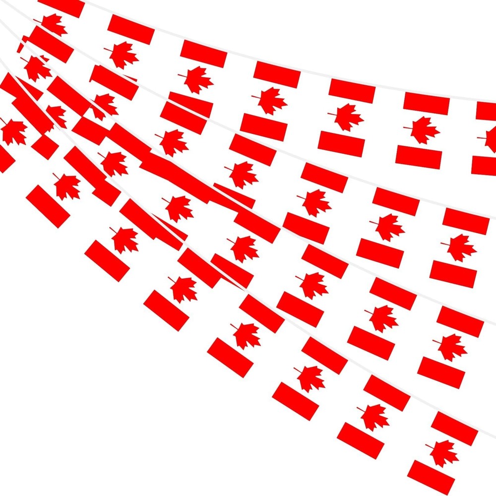 AhfuLife 33 Ft Canada Small Flags Banner for World Cup Decoration 2026, 30 Pc…