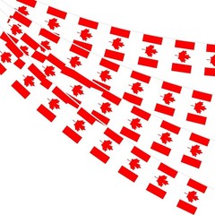 AhfuLife 33 Ft Canada Small Flags Banner for World Cup Decoration 2026, 30 Pc…