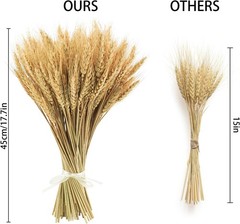 17.7 inches Dried Wheat Stalks, 100 Stems Dried Flowers Natural Wheat