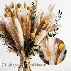 Boho Dried Flowers Bouquet – Olive Green Wall Decor, Ppas Grass Bouquet,