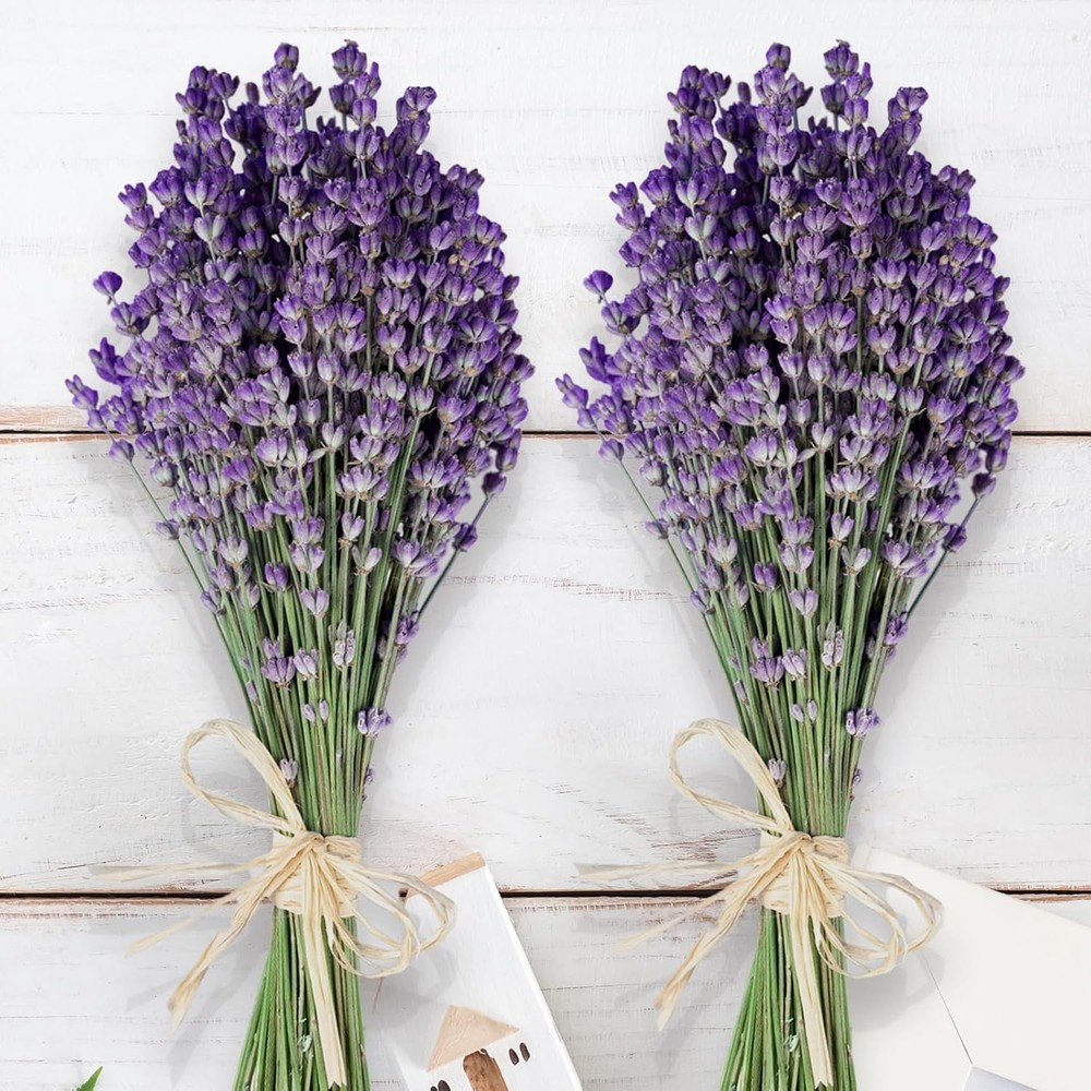 350 Stems 2 Bundles Dried Lavender Flowers, 17″ Natural ple Flowers