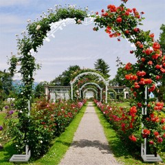 Large Rust-proof Wedding Arch Garden Arbor Curved Metal Garden Arch Trellis NEW