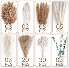 Dried Flower Bouquet – Ppas Grass, Bunny Tails, Olive Green Eucalyptus &