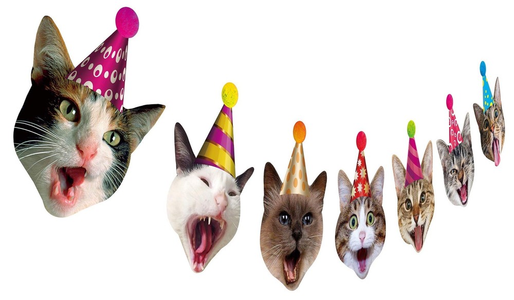 Birthday Cat Garland, Photographic Cat Faces Birthday Banner, Kitties Bday Pa…