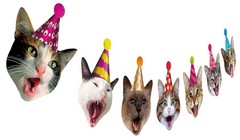 Birthday Cat Garland, Photographic Cat Faces Birthday Banner, Kitties Bday Pa…