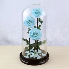 Eternal Rose in Glass Dome – Valentine’s Day Gift