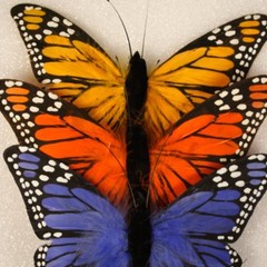 3 Piece Lot Artificial Butterflies 8 Inch Large 3 Color Assortment #12007106029