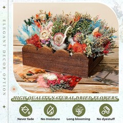 24 Pcs Boho Dried Flower Bouquet Mini Wedding Handmade Dry Flowers