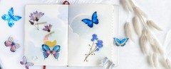 Butterfly Floral Stiers Bulk – 320 Pcs Transparent Realistic
