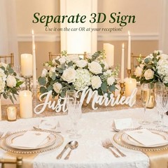 Just Married Car Decorations Set – White Floral Wreath with Long Tulle, Static