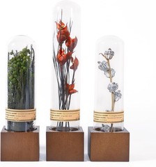 3Pcs Dried Flower Decor,Kni Knas for Shees,Cool Stuff for Bookshelf