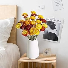 Dried Flowers Bouquet Natural Daisy – 40 PCS Multicolor Daisies Dried