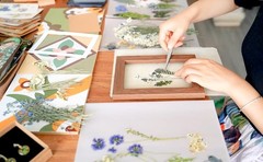 170Pcs+ Real Dried Pred Flowers Leaves Petals for Crafts-Beautiful