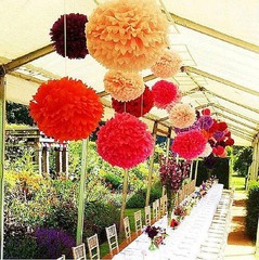 10PC Tissue Paper Pom Poms Flower Balls Wedding Decoration Party Baby Shower
