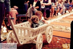 Flower Girl Pumpkin Wagon- Medium size in Gloss white – Child’s Wedding Wagon