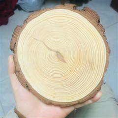 5X DIY Wooden Log Slices Round Discs 9-14cm Craft Wedding Decor Coasters Crafts