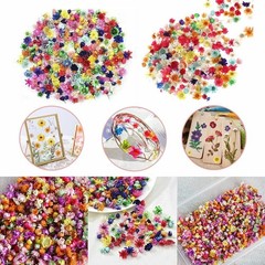 710pcs DIY Dried Flowers Scattered Aromatherapy Candle Epoxy Resin Pendant