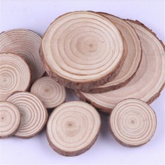 5X DIY Wooden Log Slices Round Discs 9-14cm Craft Wedding Decor Coasters Crafts