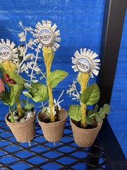 Redneck “Busch Light” Wedding/Celebration Decorations