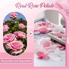 300 PCS Real Pink White Rose Flower Petals Confetti for Wedding Flower