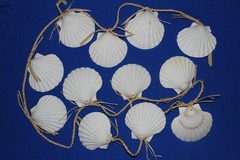 Large Seashell Christmas Tree Garland, White Irish Cups Raffia – 68″+ G-25