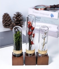 3Pcs Dried Flower Decor,Kni Knas for Shees,Cool Stuff for Bookshelf