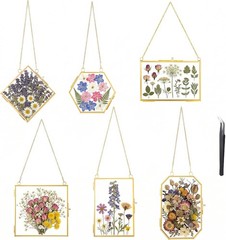 6 Pcs Pred-Flower Glass-Picture Fres, Pred-Flower-Fres with