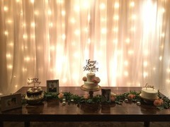 ONE 30ft x 10ft sheer white crushed voile draping panel for backdrops, weddings