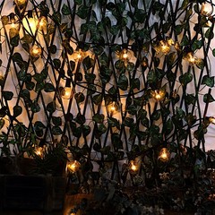 25 feet WARM WHITE 28 Incandescent Bulbs STRING LIGHTS GARLAND Party Decorations