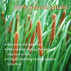 Natural Dried Cattail Flowers, 20 PCS Assorted Cattails for DIY Rustic