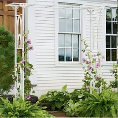 82 Inch Tall Outdoor Garden Trellis Metal Arch Gothic Arbor For Climbing Plant
