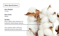 Cotton Stems Proflora All Natural Dried 3 Ball – 18pcs, 14.5”