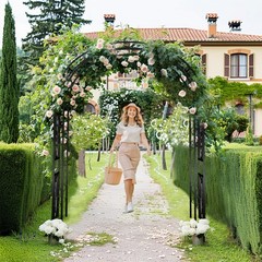 Metal Garden Arch w/ Ground Spikes Climbing Plant Support Trellis Wedding Decor