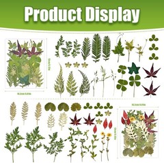110+ Pcs Dried Flowers Leaves for Crafts, Real Pred Flowers Dry Leaves