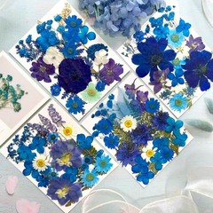 95 Pcs Blue Pred Dried Flowers for Resin, Real Natural Bulk Dry