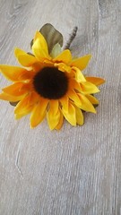 Sunflower Boutineer. with Greenery, Rustic Wedding, Western, Set of 8