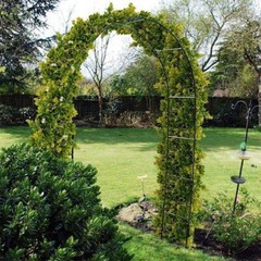 Rustproof Metal Garden Patio Arch Rose Arbour Archway Climbing Plant Trellis US