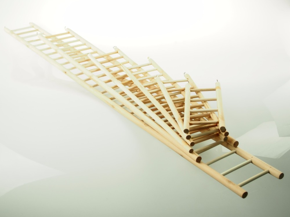 Wood Hamster Gerbil Mouse Bird Parrot Small Animals Ladder With Hooks 10″ – 48″