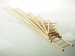 Wood Hamster Gerbil Mouse Bird Parrot Small Animals Ladder With Hooks 10″ – 48″