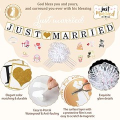 18 Pcs Just Married Wedding Car Decorations Include 12 Just Married Ornate Car