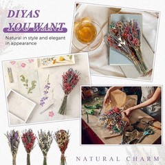 8 Pa Lar Size Boho Dried Flower Bouquet 15-17 Inch Wedding