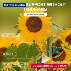 Yinghezu 40 Pcs Plant Support Clips,Tomato Plant Clips 2 Sizes in one Pack | Flo
