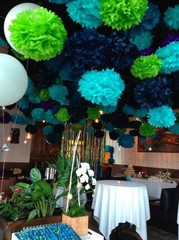 3X Tissue Paper Color 4″ 8″ 12″ pom pom Flowers Wedding Party Craft Decoration