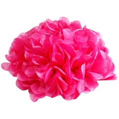 6PCS Paper Flower Tissue Pom Pom Hanging Ball Wedding Babyshower Party Decor
