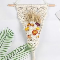 24 Pcs Natural Dried St Flowers Daisy, Oran Dried Flowers